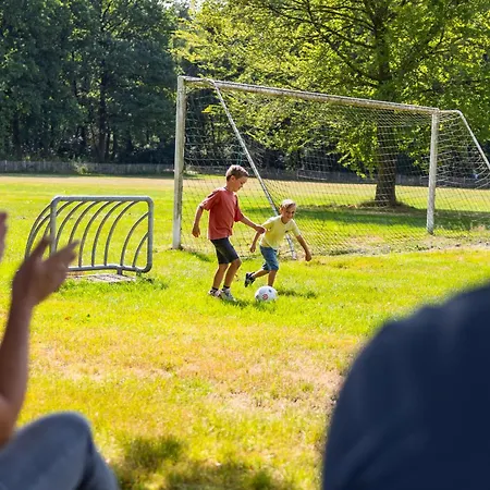 ヴィラ Boerderij Hoeve Met Prive Zwembad | 18 Personen オッテルロ