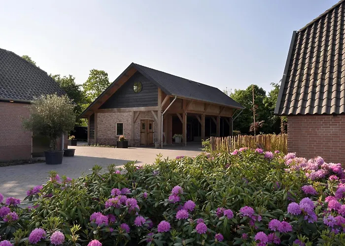 Boerderij Hoeve Met Prive Zwembad | 18 Personen *